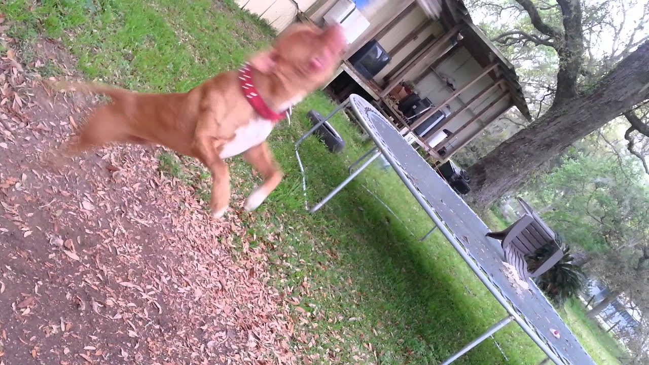 KILLA KANE..FEELING HAPPY