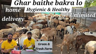 Green & fresh Farm Moinabad | Online Qurbani services with hygienic | Qurbani ke bakre Home delivery