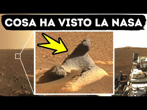 I Primi 6 Mesi del Rover della NASA su Marte, Cosa ha visto finora