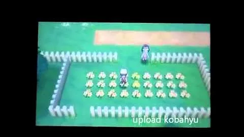 ポケモン オメガ ルビー サーナイト ナイト