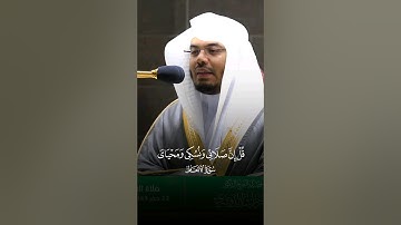 #ياسر_الدوسري #سورة_الأنعام #قرآن #القرآن_الكريم #تلاوة_خاشعة #الله