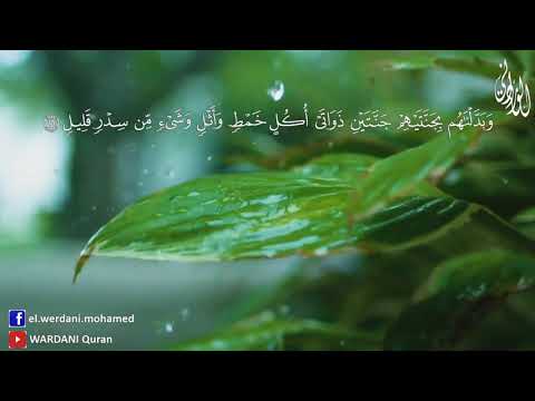 فأعرضوا فأرسلنا عليهم سيل العرم اسمع كيف قرأها الشيخ محمد الورداني Mohamed Elwerdani 