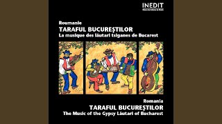 Am Iubit Si-Am Sa Iubesc