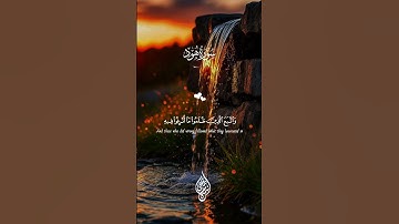 تلاوة هادئة تريح القلوب #قران_كريم #قرآن #المصحف #لايك #explore #اكسبلور