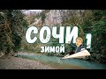 Сочи Зимой. Выпуск 1: Тисо-Самшитовая роща, Бизнес lounge  Внуково и отель Гамма-Сириус парк