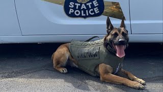 Ohio K9 Bruno receives donation of body armor