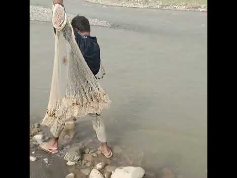 big fish, bass fishing, fishing, Most fish caught in one day