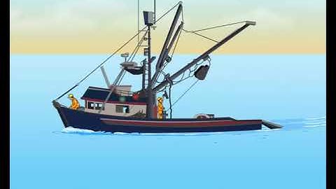 COLREGS RULE 1 APPLICATION