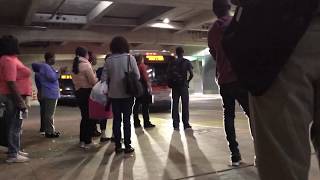 WMATA New Flyer XDE40 Bus on Route Z7 to South Laurel Park and Ride