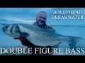 Huge bass holyhead breakwater uk sea fishing