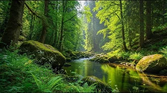 Spa Relaxing Music, Relax Massage Music, Spa Music Relaxation Spa Relaxing Music, Relax Massage Music, Spa Music Relaxation