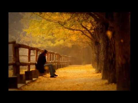 gancda განცდა the collection