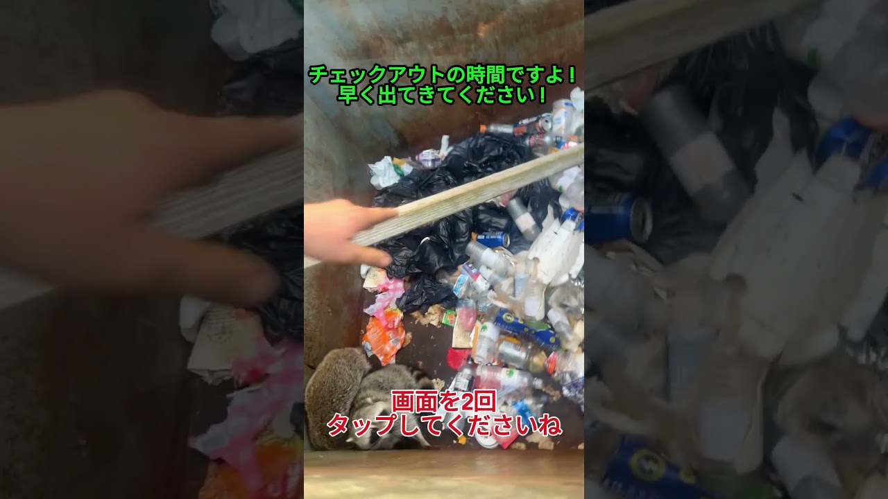 チェックアウトの時間ですよ！早く出てきてください！