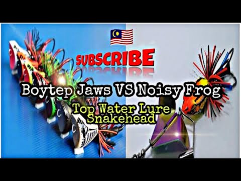 BOYTEP LURE, Casting Haruan TOP WATER, Reel Ajiking TAYCAN, TOP WATER  EXPLOSIONS