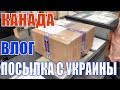 КАНАДА ВЛОГ | Получили посылку с Украины/Бондаж для любимой с Amazon