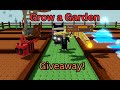 Live Roblox gameplay (grow a garden, Rivals , Doors, Steal a brainrot etc)