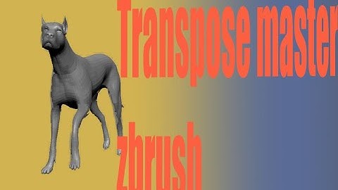 Transpose Master zbrush 2021.5