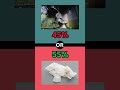 Would You Rather? The Ultimate Challenge! 🔥#quiz #youtubeshorts