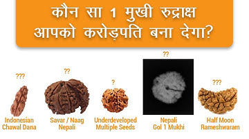 कौन सा 1 मुखी रुद्राक्ष आपको करोड़पति बना देगा? Ek Mukhi Original Rudraksh (Detailed Rudraksh Video)