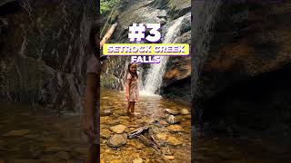 3 Kid &amp; Dog Friendly Hikes Near Asheville, NC