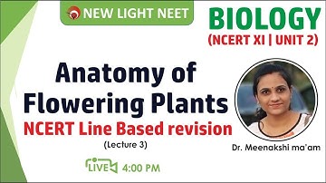 NEET 2021 Biology NCERT Class 11th | L3 Anatomy of Flowering Plants | Dr. Meenakshi Ma