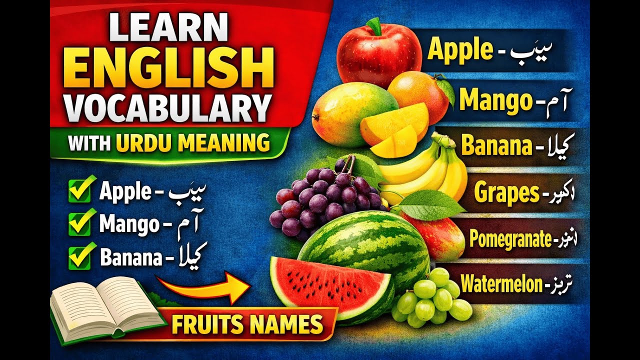 Basic English Vocabulary with Urdu Meaning Words for Beginners