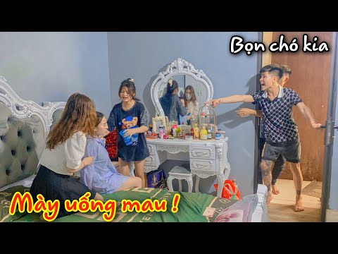 Video: 3 lý do chó của bạn nên thử gậy bắt nạt