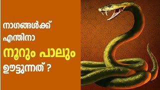 നാഗദോഷം, നൂറും പാലും വഴിപാട്, Noorum palum Malayalam, Naga dosham pariharam Malayalam