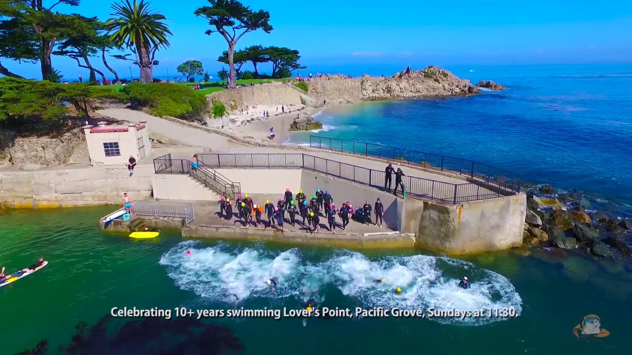 Kelp Krawlers - Pacific Grove CA