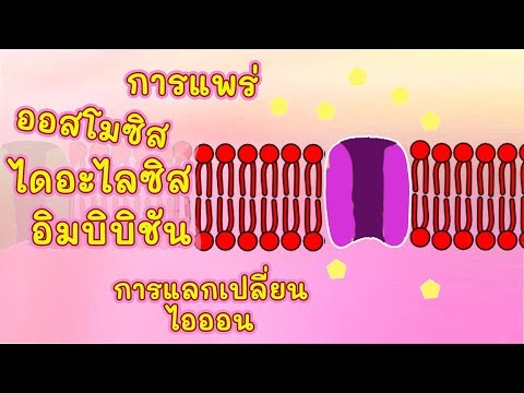 วีดีโอ: การแพร่กระจายการเปิดใช้งานในทางจิตวิทยาคืออะไร?