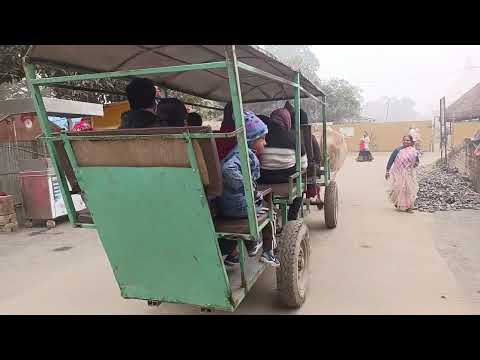 Taxi entre le temple ISKCON de Mayapur et le goshala (21 décembre 2025)