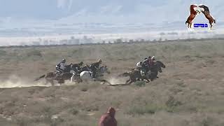 سباقات الخيول بمختل اصنافها🐎 ليوم 8 ديسمبر 2024 بميدان بلخير ولاية ڨفصة