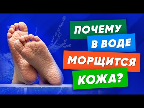 Почему КОЖА на пальцах и ступнях МОРЩИТСЯ В ВОДЕ? Ответ учёных вас удивит!