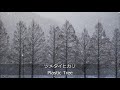 Plastic Tree - ツメタイヒカリ (Piano cover)