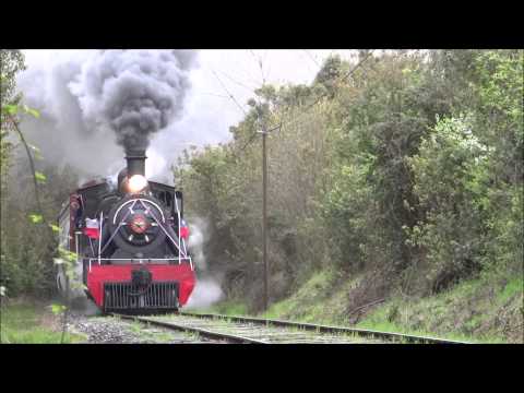 Video: Conoce A Smokey, La Súper Ronroneadora: Más Ruidosa Que Una Locomotora ¿Pero Es Capaz De Saltar Edificios Altos?