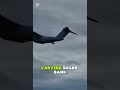 “Watch the A400M Fly Like a Fighter Jet😱 Airlift Power Meets Agility!” #airbus #aircraft #technology