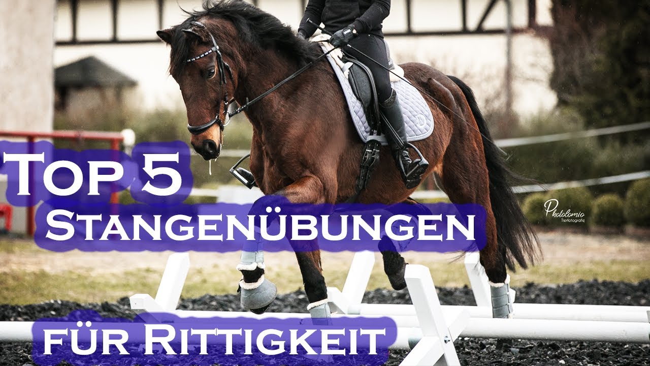MEHR Rittigkeit durch STANGEN-Übungen | Meine Top 5