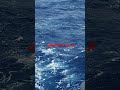 في المحيط الهادي في المحيط الهادي