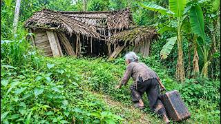 Kicked Out by Her Son, She Rebuilt Her Life by Restoring an Abandoned Forest House