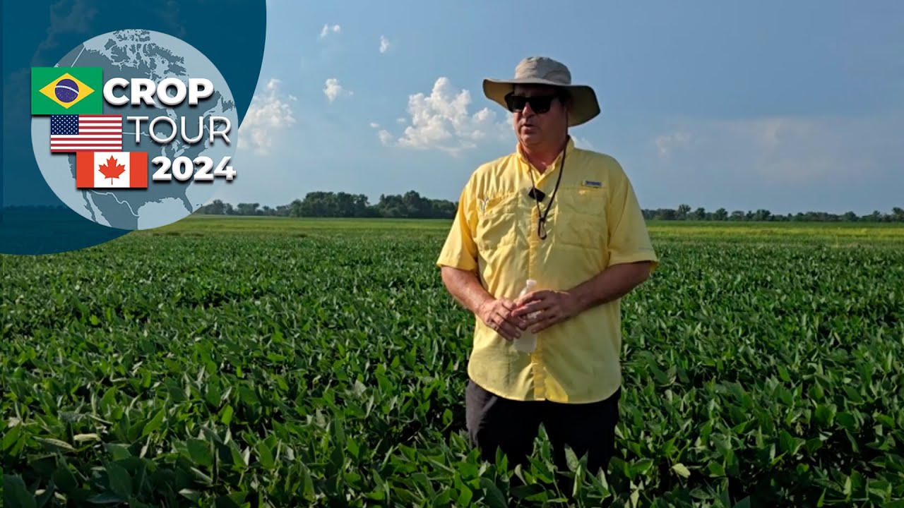 Produtor de Laddonia, no Missouri, sofre perda de produtividade com a falta de chuva das últimas sem