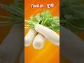 Facts About Radish - मूली। #facts #shorts