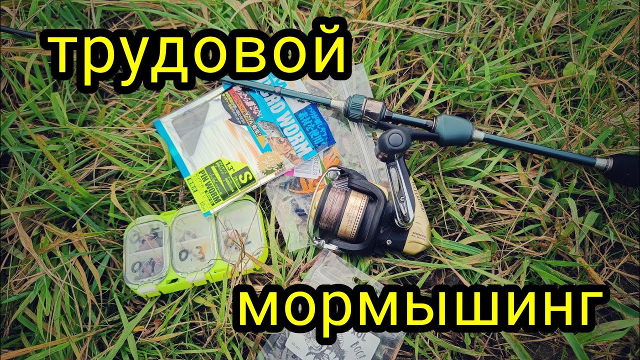 ТРУДОВОЙ МОРМЫШИНГ !!! ПОЙМАЛ КАРАСЯ !!! - YouTube