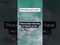 Those People Who Have No Friends Can Be Shortes Psychologyfacts Subscribe mp3