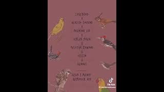 masteran lovebird, gereja tarung, prenjak tir, ciblek bren, pelatuk bawang, cililin, kenari