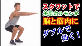 スクワットで美肌ホルモンが脳と筋肉にダブルで効く！