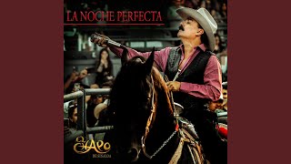 La Noche Perfecta