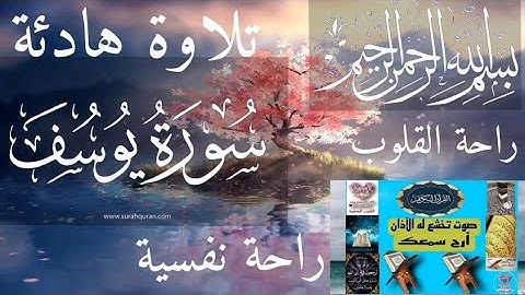 سورة يوسف تلاوة هادئة لشيخ عبدالله علي تريح عقلك