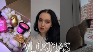 VLOGMAS/посылка Lush/долгожданный снег/пеку пирог