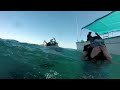 Snorkeling with Sea Lions & Sea Turtles in Cabo Pulmo 🐢🦭
