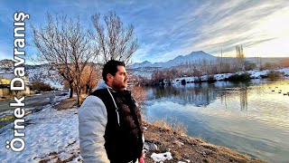 Aksaray Helvadere Göleti Ördekler Harika Yahya Bey Yemliyor Örnek Davranış Teşekkürler